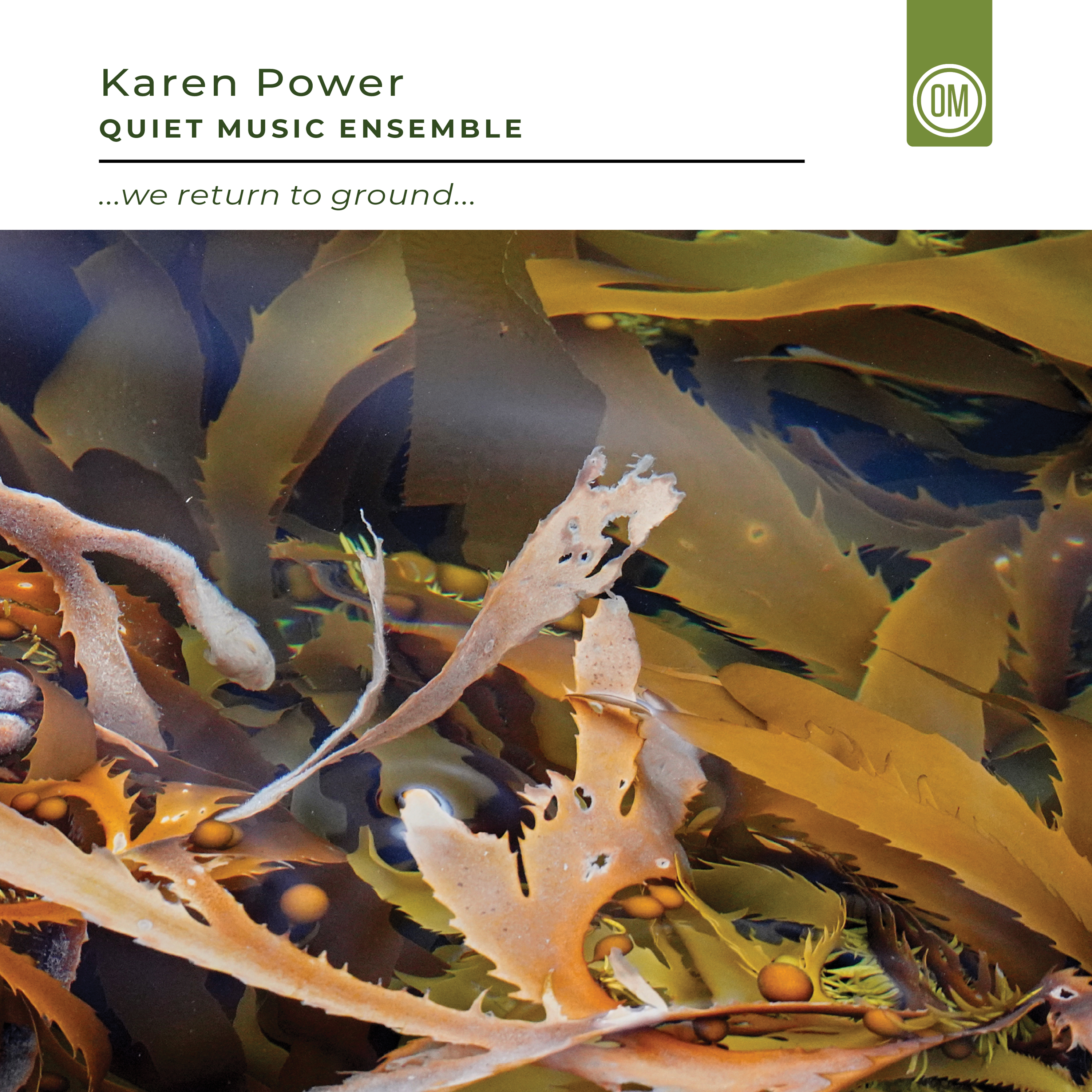 Karen Power Quiet Music Ensemble ...we return to ground...